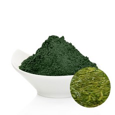 [GO5109 천연화장품비누재료] 스피루리나 분말(Spirulina Powder), 100g, 1개