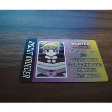 헌터헌터 헌헌 캐릭터 신분증 자격증 카드 곤 키르아 크라피카 레오리오 히소카, F
