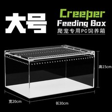 Creeper 爬寵飼養箱 (大號) - 陸龜/蜥蜴/守宮適用 PC塑料生態造景飼養箱, 1個, 威懾力飼養箱30x20x15cm