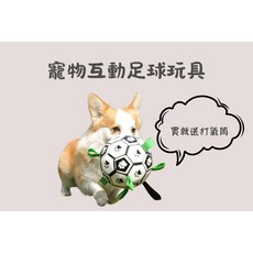 寵物互動足球玩具 附贈打氣筒 耐咬材質 狗狗互動玩具, 足球, 1個