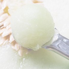 디저트 동글 멜론 수박 화채 스텐 동글볼스푼 아이스크림 수박스푼 위생적