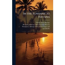 (英文圖書)In the Sunshine at Havana 精裝版, Hutson Street Press, 英文