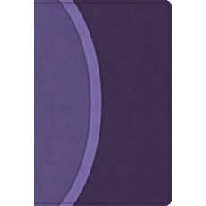 (영문도서)CSB Rainbow Study Bible Purple Leathertouch (Limited Edition) Imitation Leather, Holman Bible Publishers, English, 9798384534235