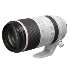 Canon RF 100-500mm f/4.5-7.1L IS USM 變焦鏡頭 公司貨, RF100-500mm