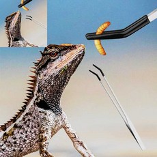 팔땨 도마뱀 핀셋 파충류 곤충 방지 렙타일 급여 먹이 도마뱀용 먹이급여기 곤충처리