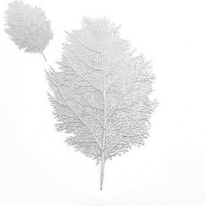 십땨 식탁매트 2p세트 실버 사각식탁보 4인용식탁보 모던식탁보