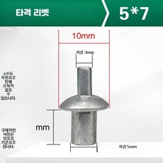 리벳 타격형 스테인리스 소재 고정용 원형머리 알루미늄 못 세트, 10개