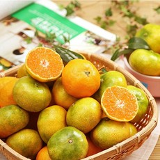 제주 감귤 하우스감귤 2kg 3kg 5kg 제주도 서귀포 산지직송, 가정용 대과, 1박스, 2kg (L)
