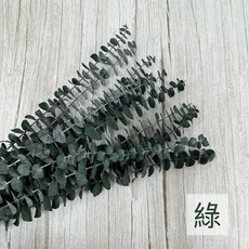 進口不凋寶貝尤加利葉原裝把販售小圓葉乾燥花永生花不凋花, 綠