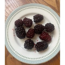 [신선급냉] 슈퍼베리 복분자 블랙베리열매 간식 급냉 생과 1kg 1개 [원산지:국산(전라북도 완주군)], 3개