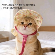 Lavitree강아지 고양이 반려동물 귀여운 모자 포토 소품, A, 1개
