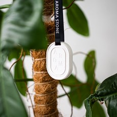 아로마 스톤 규조토 오너먼트 걸이형 방향제, 희망의 빛(화이트), 도손