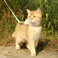큐트스마트 고양이 강아지 겸용 길이 조절형 스카이 그라데이션 리드줄, 핑크 + 그린, 1개