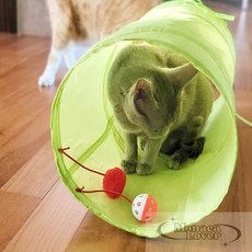 모나카러버 고양이터널 그린 고양이놀이