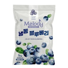멜로디 냉동 블루베리, 1개, 1kg