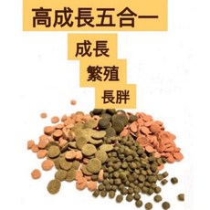 台灣仟紅 全方位沈底飼料 異型鼠魚恐龍慈鯛蝦適用, 1個, 高成長五合一500克