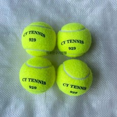 컬러 테니스 공 핑크 연습 세트 연습용 선물, 형광그린 929 트레이닝 4개