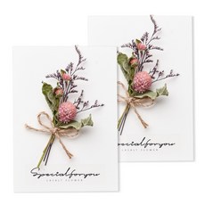 라솔트 프리저브드 플라워 카드 + 투명 케이스 세트, 미스티블루, 2개