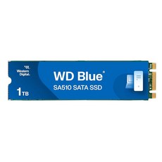 웨스턴 디지털 2TB WD 블루 SA510 SATA 내부 솔리드 스테이트 드라이브 SSD - III 6Gb/s M.2 2280 최대 560MB/s WDS200T3B0B, New Generation, 1TB