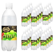윌킨슨 탄산 더 프루티 머스캣 페트, 24개, 490ml
