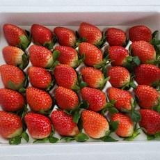 국내산 설향 딸기 한입과 700g 30-42구, 1개