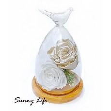 日皇 永生花玻璃罩 微景觀防塵罩 點心罩 居家擺飾