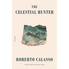 The Celestial Hunter Paperback, Picador USA