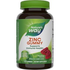 네이쳐스웨이 Nature's Way Zinc Gummies Adult & Kids 9+ Support Gummies* 100% Daily Value per Serving, 1개