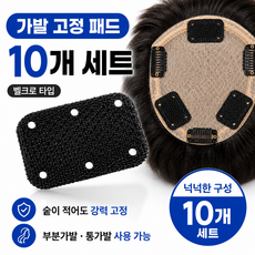 가발 벨크로 10개 머리카락고정 숱없는 잔머리고정 공항검색대 통과, 블랙