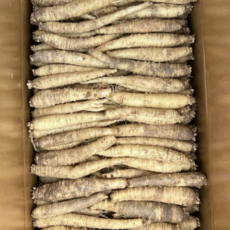 더덕(중사이즈) 세척더덕, 1개, 2kg