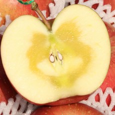 [단하루특가] 고당도 경북 부사 사과, 1박스, 고당도_10kg S-M