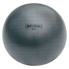 챔피언 스포츠 65CM FITPRO BRT 트레이닝 및 운동, 65 Cm, 1개