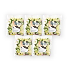 프레시온 탄산세척 데일리 얌얌 야채 샐러드 70gX5팩, 70g, 5개