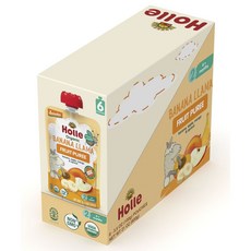 홀레 바나나 라마 프루트 퓨레 어린이 스무디 100g, 6개입
