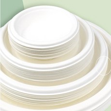 김미르컴퍼니 식물성 종이접시 10P 1회용접시, 10cm