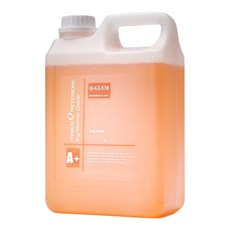 Q-GLYM 蚊蟲去除劑 2L (附500mL噴瓶) 美國製造｜汽車清潔劑、鳥屎清潔, 1個