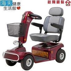 【海夫健康生活館】必翔 電動代步車 P型把手(TE-888N)