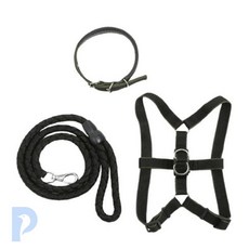 대형견 목줄 리드줄 세트 XS 블랙 소형견목줄