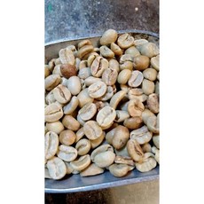 巴菲特 哥斯大黎加 漫步莊園產區 塔拉珠咖啡豆 2025新批次 生豆 1000g 手挑精選 低瑕疵, 1個, 生豆,1000g