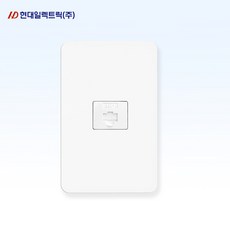 현대 국산 8P 인터넷 모듈라 1구, 10개