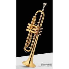 입문용트럼펫 케이스 세트 악기 트럼팻 관악기 금관 연습용 초보자 취미 연습 나팔 동아리 소형, E. 고급_모넬 피스톤, 1개