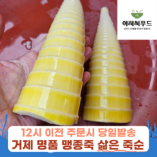 국내산 거제 삶은 죽순 아삭한 제철 손질완료 저칼로리 냉동 급냉, 1개, 2kg