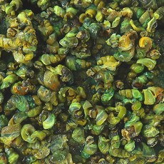 (배터짐) 최상급 굵은 자숙 다슬기살 (일요일&당일발송), 1개, 700g