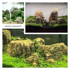 邦邦水族 龜紋石 水族造景石材 魚缸水草缸裝飾岩石 園藝擺設 (3-5公分), 3~5CM, 1個