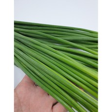 신선 최상급 마늘쫑 마늘종 햇마늘 수입, 2kg, 1개