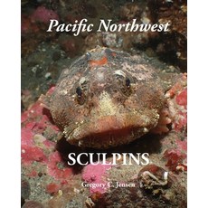 (外文書)Pacific Northwest Sculpins Paperback, Molamarine, English