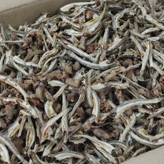 가락시장521 꼴뚜기 섞인 가이리 1.5kg 국내산 볶음용 조림용 대용량 한박스, 1개