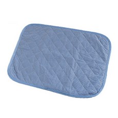 디에스펫 반려동물 매쉬패드, 소형, 2개