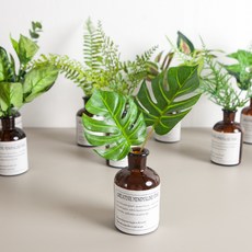 그린 인테리어 DIY 세트 조화 녹색식물 액자 화분 화병 캔버스 장식 카페 2, 01.레터링그린화병A 23cm (DIY)-아디안텀, 1개