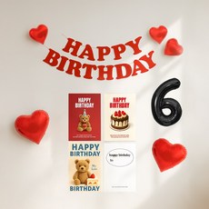 해피제이니 생일 펠트가랜드 생일 포스터 4장 파티 셀프꾸미기 세트, 1세트, 레드가랜드 숫자6